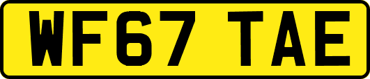 WF67TAE