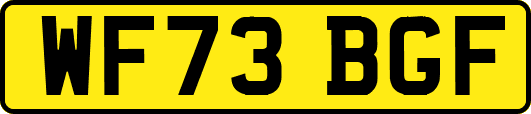 WF73BGF