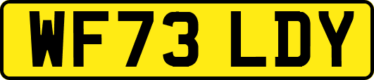 WF73LDY