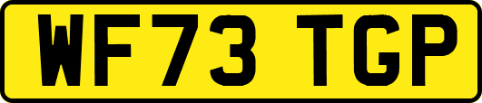 WF73TGP
