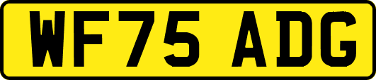 WF75ADG
