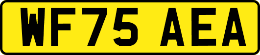 WF75AEA