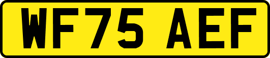 WF75AEF