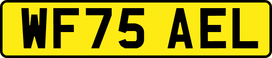 WF75AEL