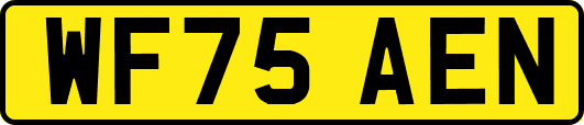WF75AEN
