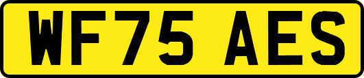 WF75AES