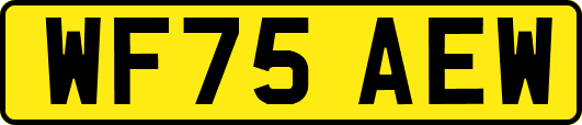 WF75AEW
