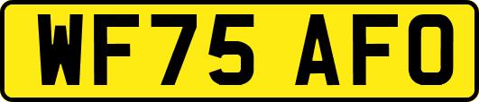 WF75AFO