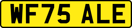 WF75ALE