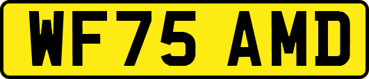 WF75AMD