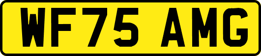 WF75AMG