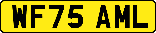 WF75AML