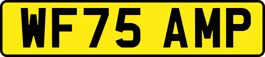 WF75AMP