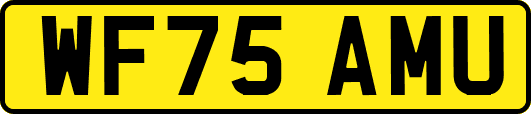 WF75AMU