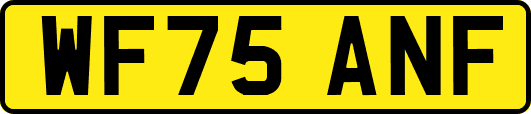 WF75ANF