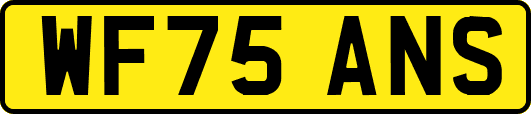 WF75ANS