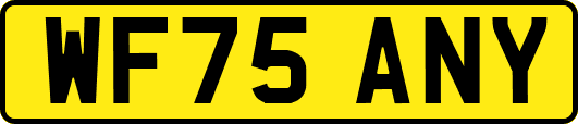 WF75ANY