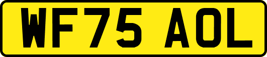 WF75AOL