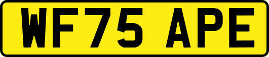 WF75APE