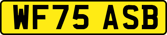 WF75ASB