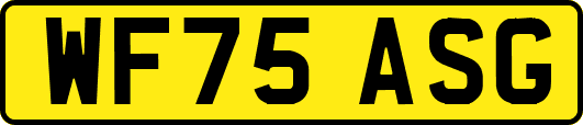 WF75ASG