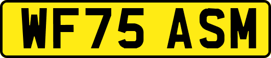 WF75ASM