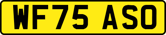 WF75ASO