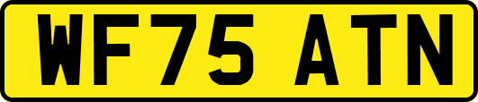 WF75ATN