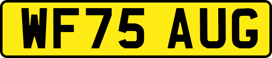 WF75AUG