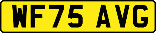 WF75AVG