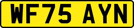 WF75AYN