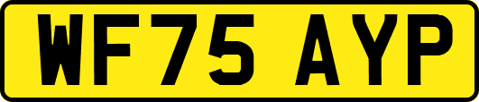WF75AYP