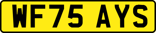 WF75AYS