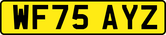 WF75AYZ