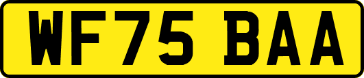 WF75BAA