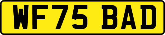 WF75BAD