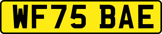 WF75BAE