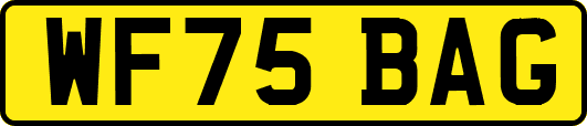WF75BAG