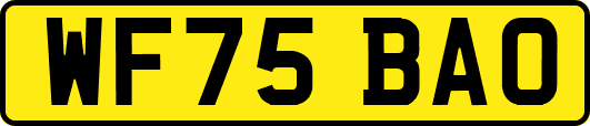 WF75BAO