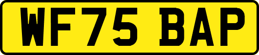 WF75BAP