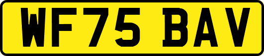 WF75BAV