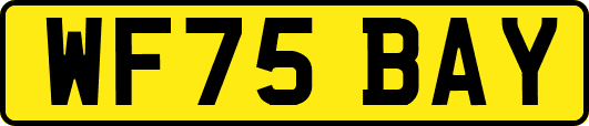 WF75BAY