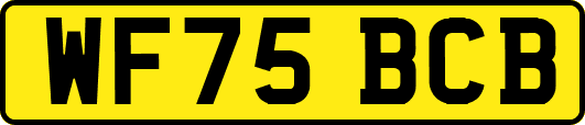 WF75BCB