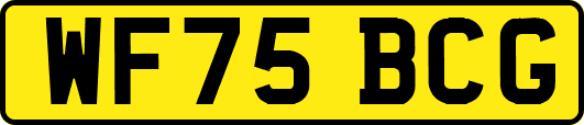 WF75BCG