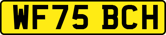 WF75BCH