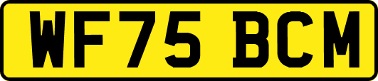 WF75BCM