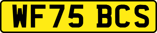 WF75BCS