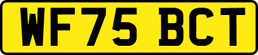 WF75BCT