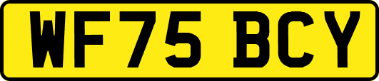 WF75BCY