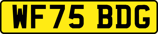 WF75BDG